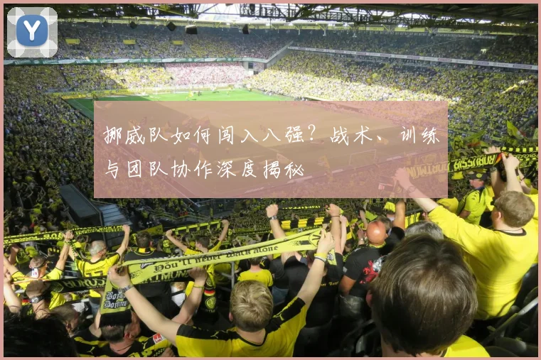 挪威队如何闯入八强？战术、训练与团队协作深度揭秘